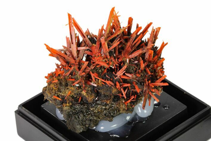 Bright Orange Crocoite Crystal Cluster - Tasmania #148513